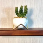 Premium Quality Real Solid Wood Wall Floating Shelve, (Beige), (Hidden Bracket), Solid Wood Shelve, Decor Shelf, Decor Mounted Wall Shelve